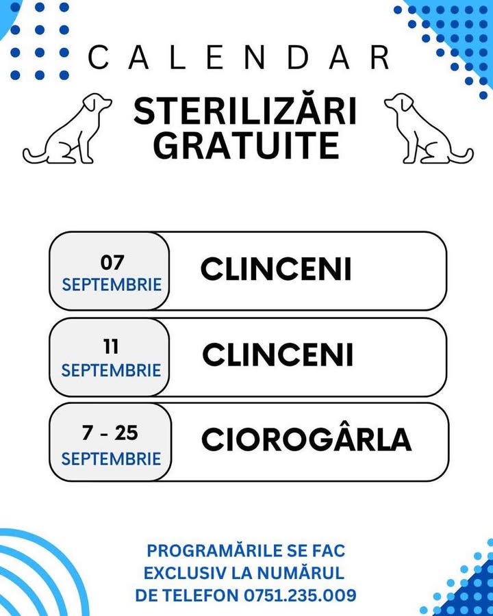 Campanie Clinceni, Ciorogârla