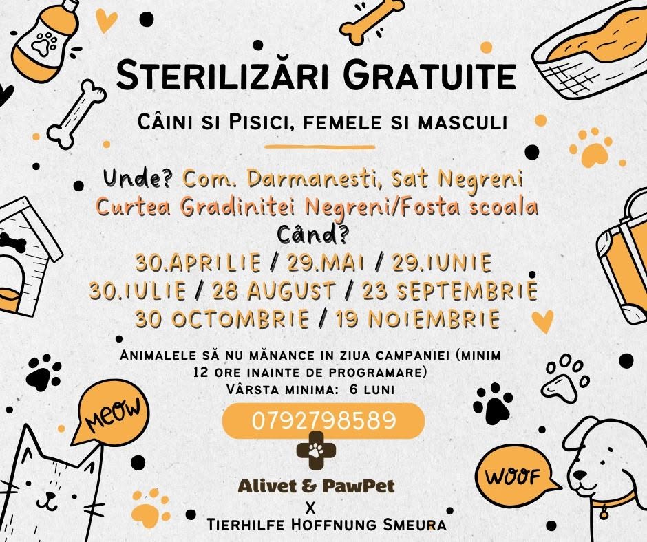 Campanie Negreni, Dărmănești