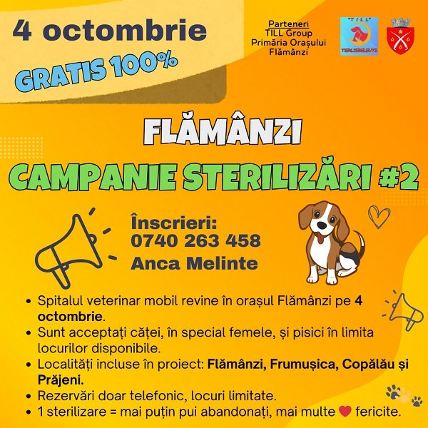 Campanie Flămânzi
