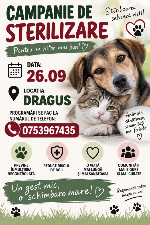 Campanie Drăguș