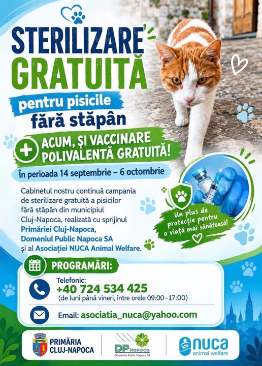 Campanie Cluj-Napoca