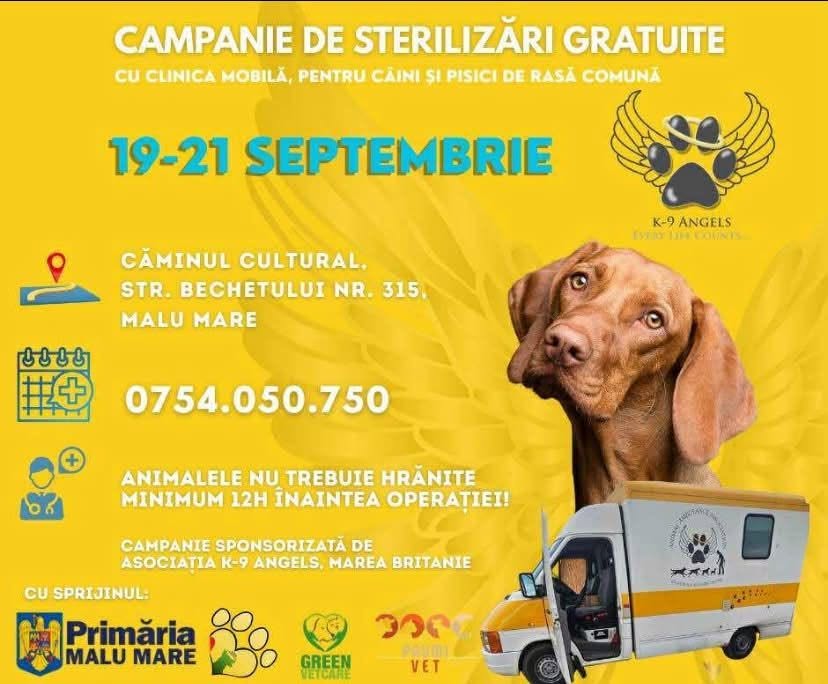 Campanie Malu Mare