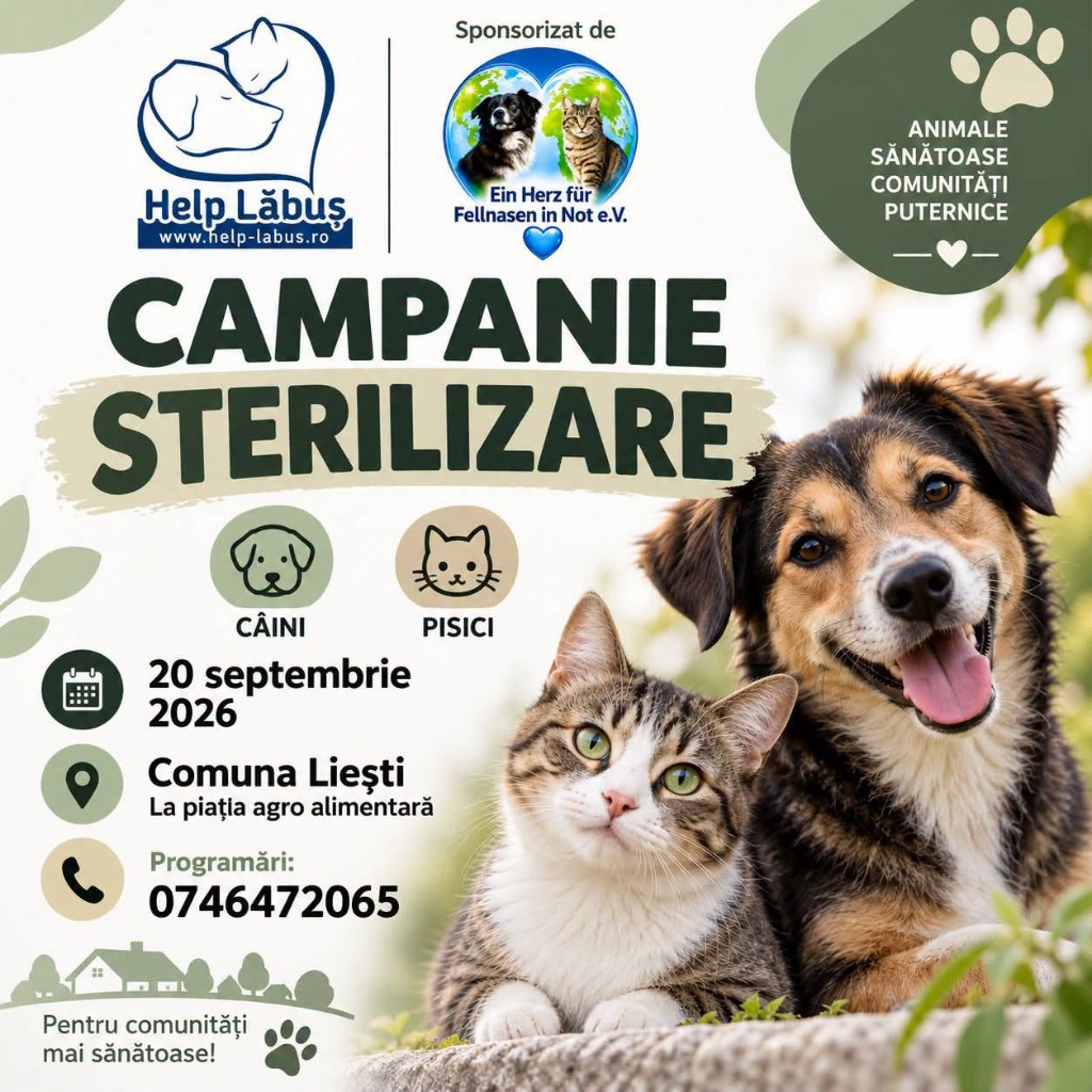 Campanie Liești