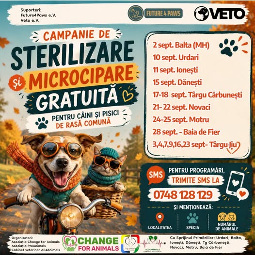 Campanie Târgu Jiu