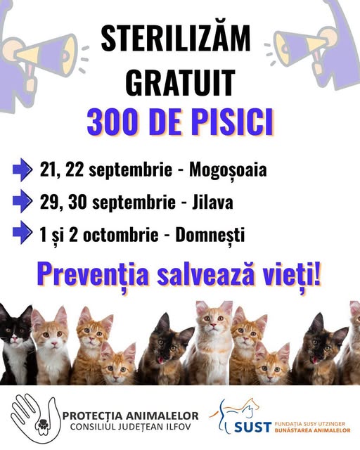 Campanie Mogoșoaia