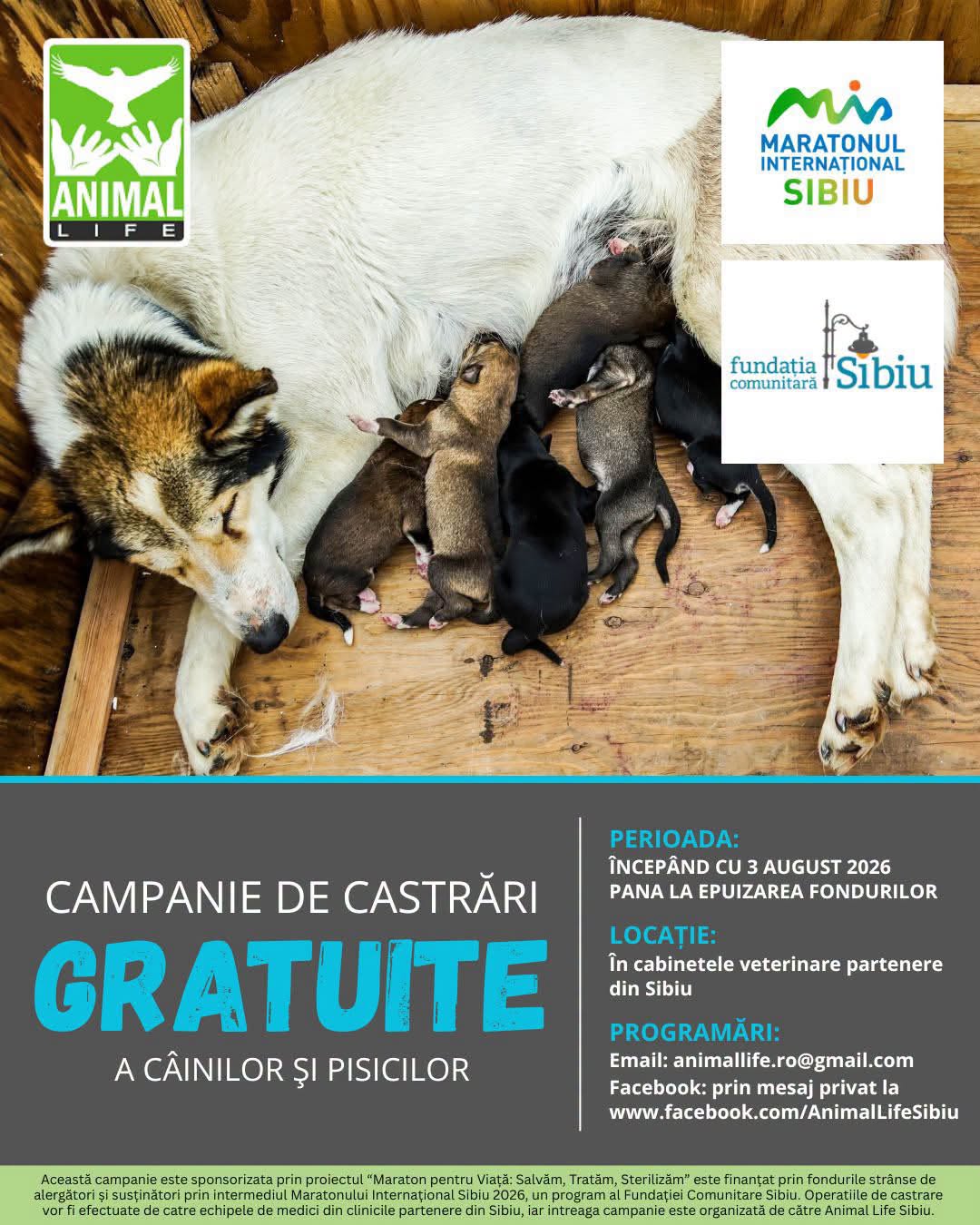 Campanie Sibiu (județ)