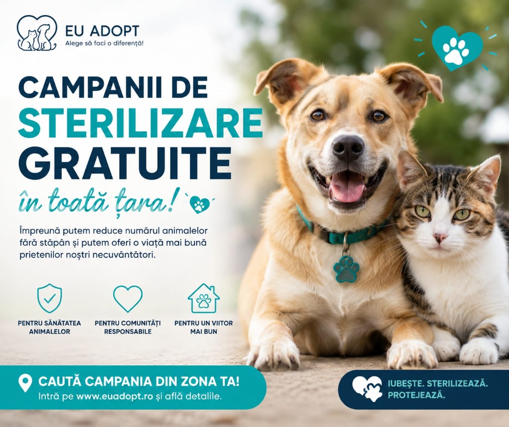 Campanii gratuite de sterilizare